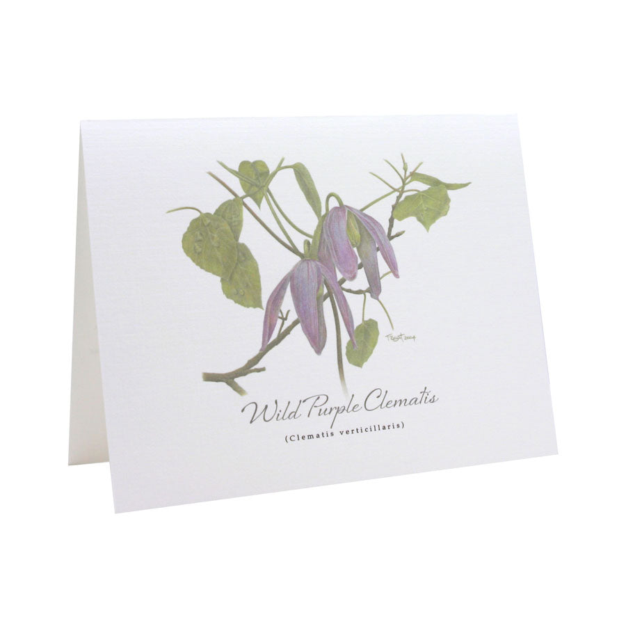 Wild Purple Clematis NOTE CARD