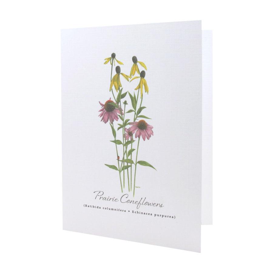 Prairie Coneflowers NOTE CARD