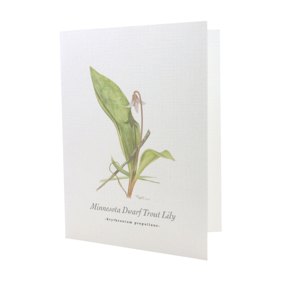 Minnesota Dwarf Trout Lily NOTE CARD