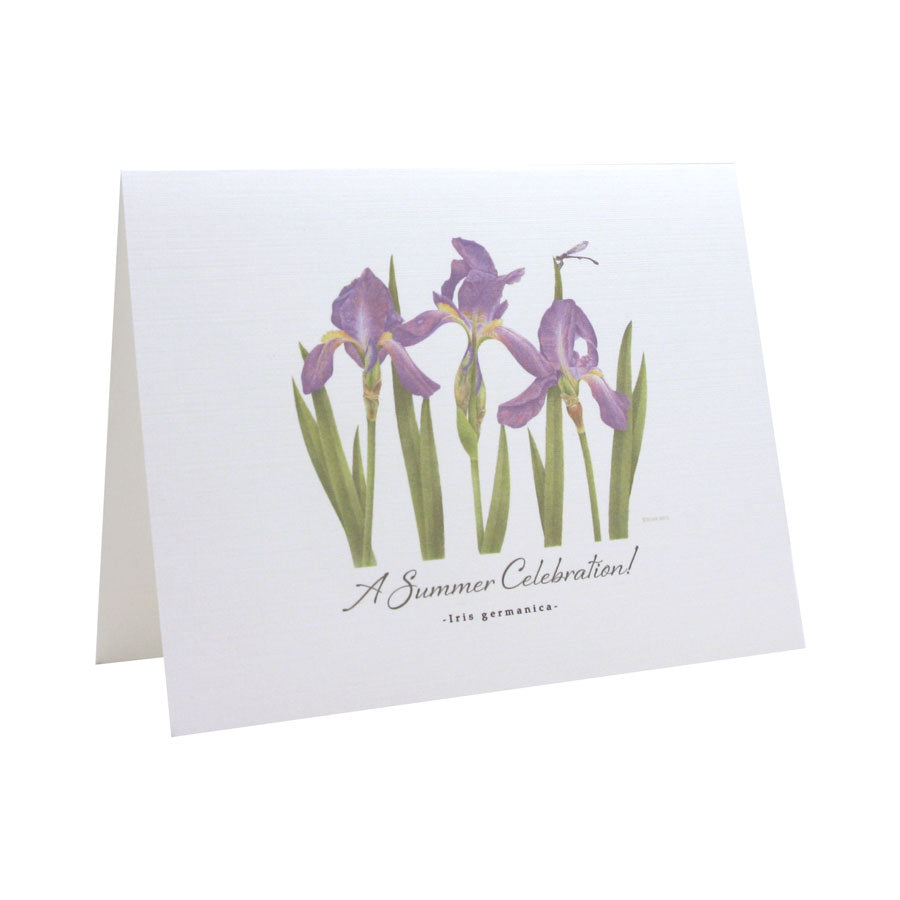 A Summer Celebration NOTE CARD