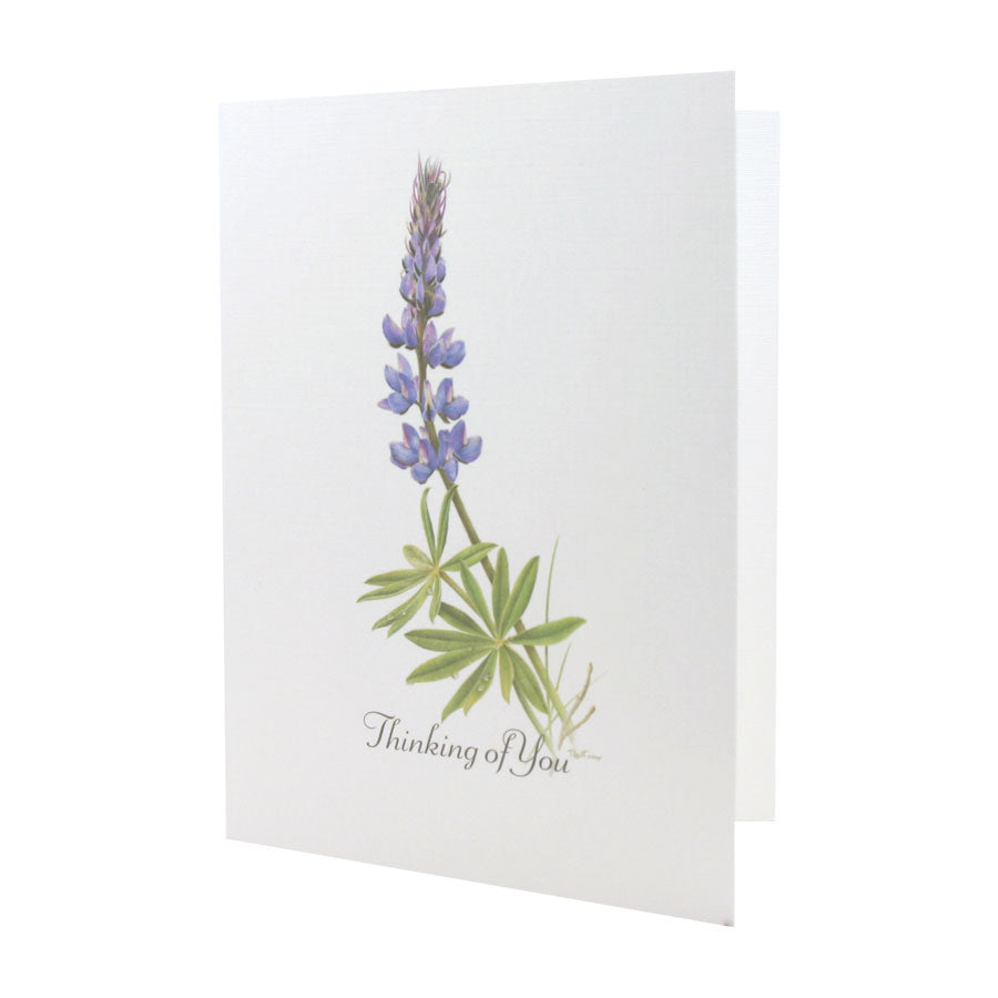 Wild Lupine NOTE CARD