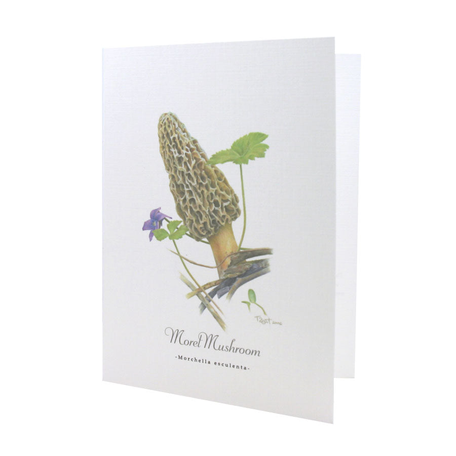Morel Mushroom NOTE CARD