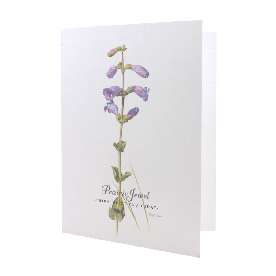 Prairie Jewel NOTE CARD
