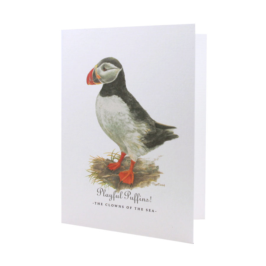 Playful Puffins