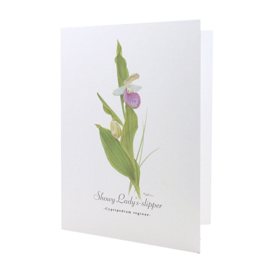 Showy Lady's-slipper NOTE CARD
