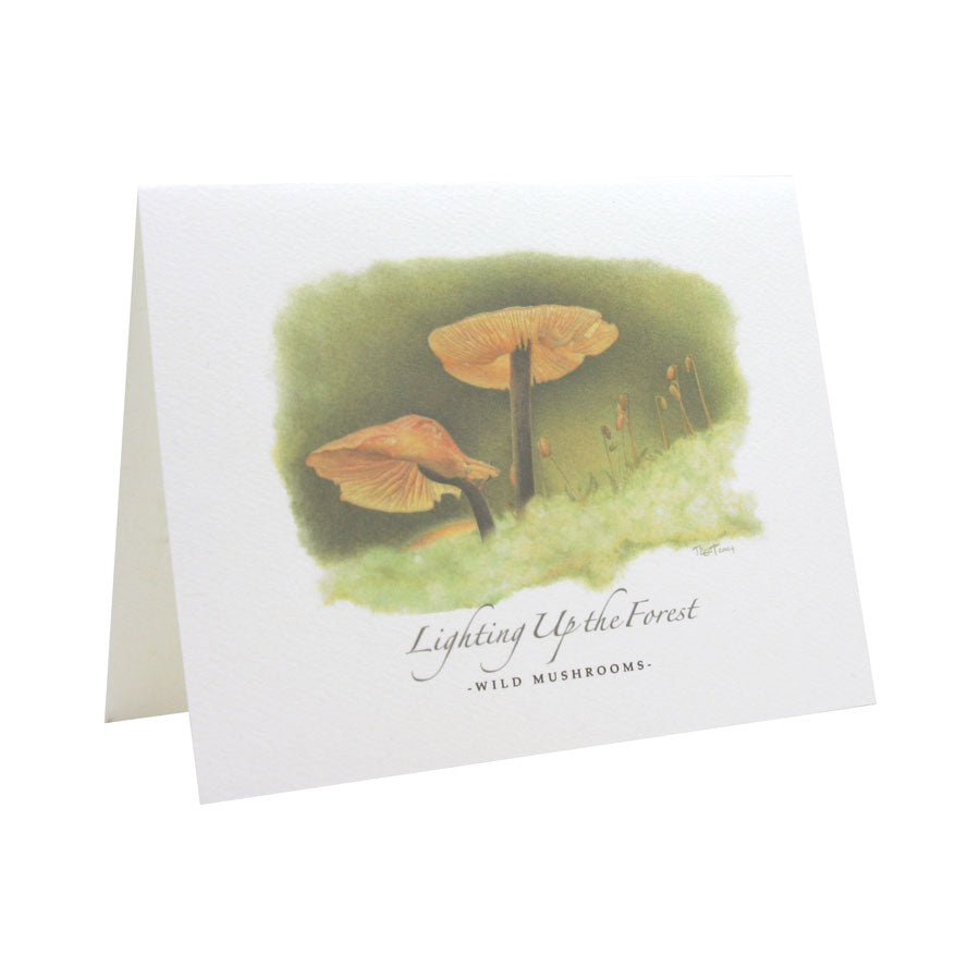 Lighting Up the Forest NOTE CARD