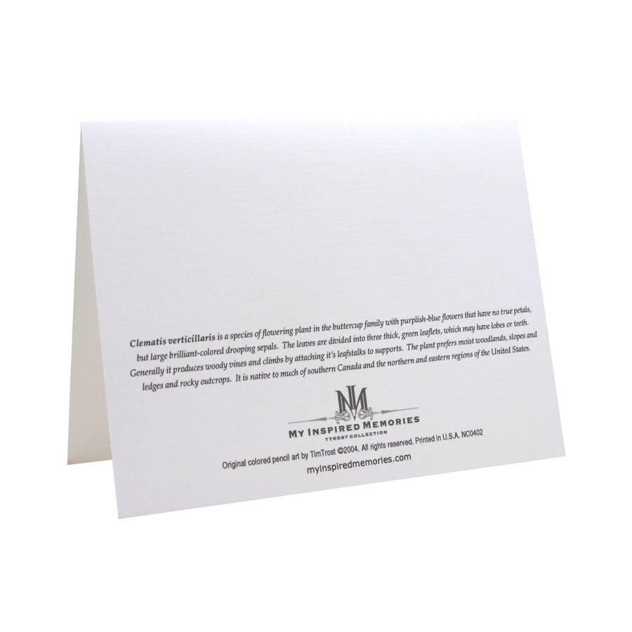 Wild Purple Clematis NOTE CARD