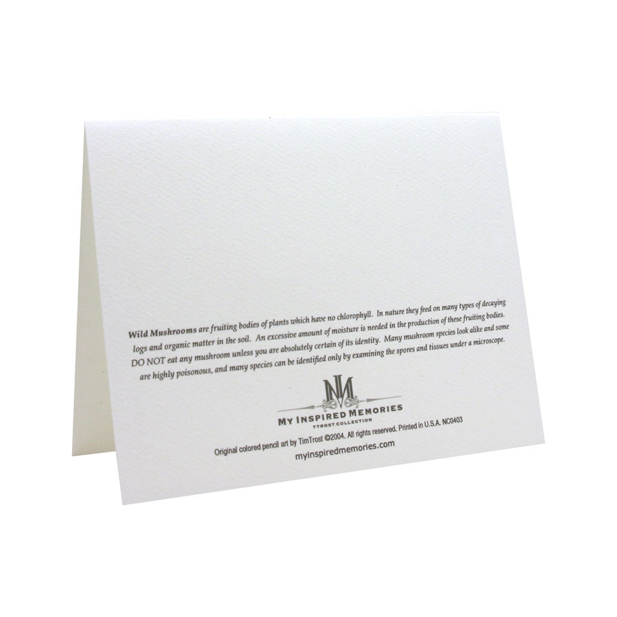 Lighting Up the Forest NOTE CARD