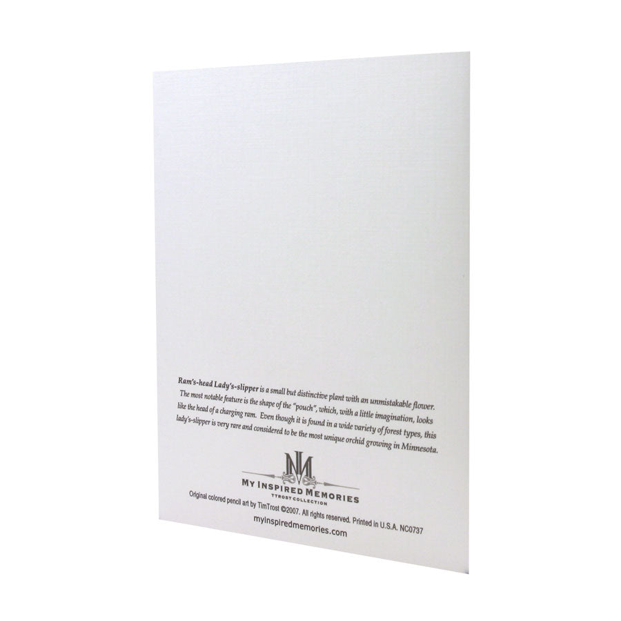 Ram's-head Lady's-slipper NOTE CARD